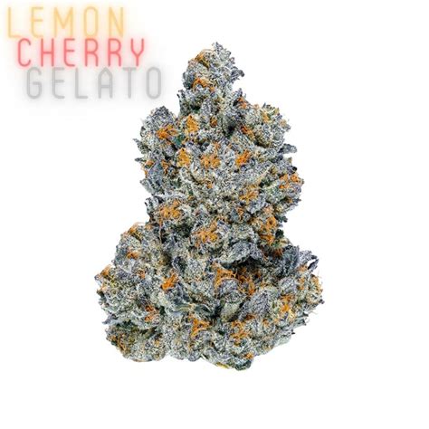 gelato strains list.